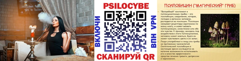 Галлюциногенные грибы Psilocybine cubensis  Купить закладки  Гудермес 